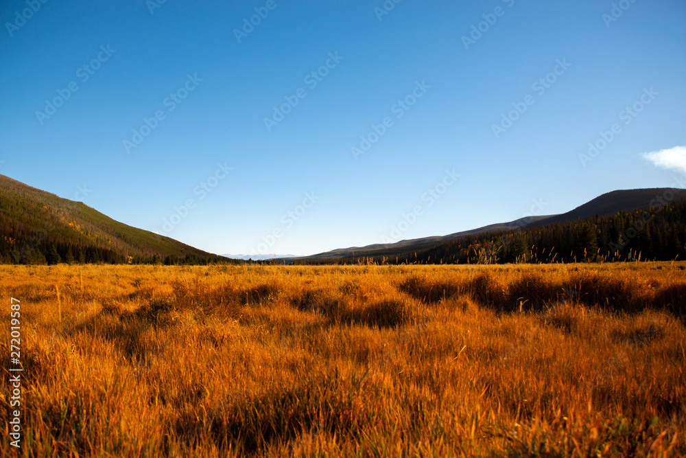 landscape in the mountains, Colorado USA