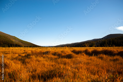 landscape in the mountains, Colorado USA