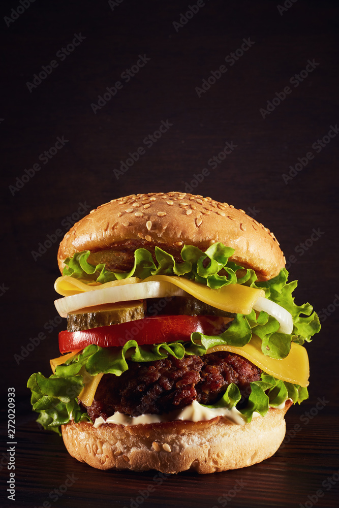 Home made hamburger with lettuce and cheese Home made hamburger with lettuce and cheese