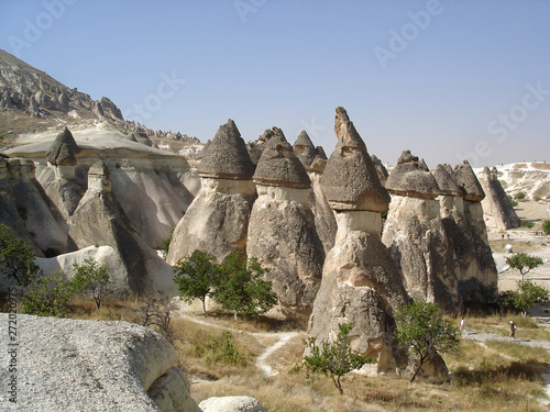 Pasabag Monks Valley with fairy chimneys and mushroom shaped rocks. Cappadocia, Turkey