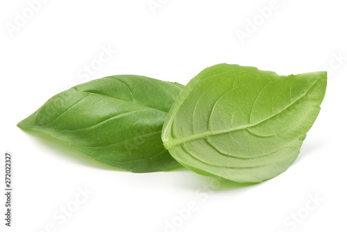 Sweet Green Basil Leaves, Herb, Spice, closeup, isolated on white background