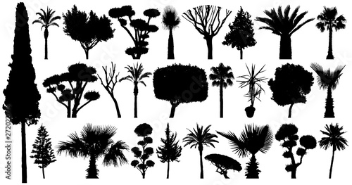 Trees set silhouette vector. Collection of plants and bushes. Isolated on a white background photo