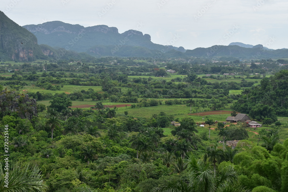 Vinales valley is very green and full of beautiful trees. picture from high ground