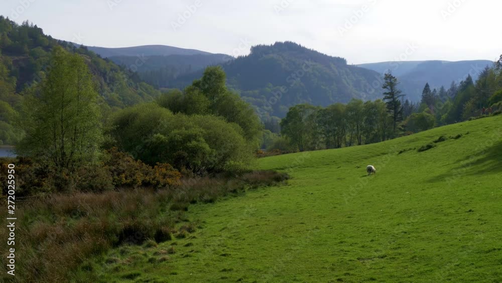 The beautiful Wicklow Mountains in Ireland - travel photography The beautiful Wicklow Mountains in Ireland - travel photography