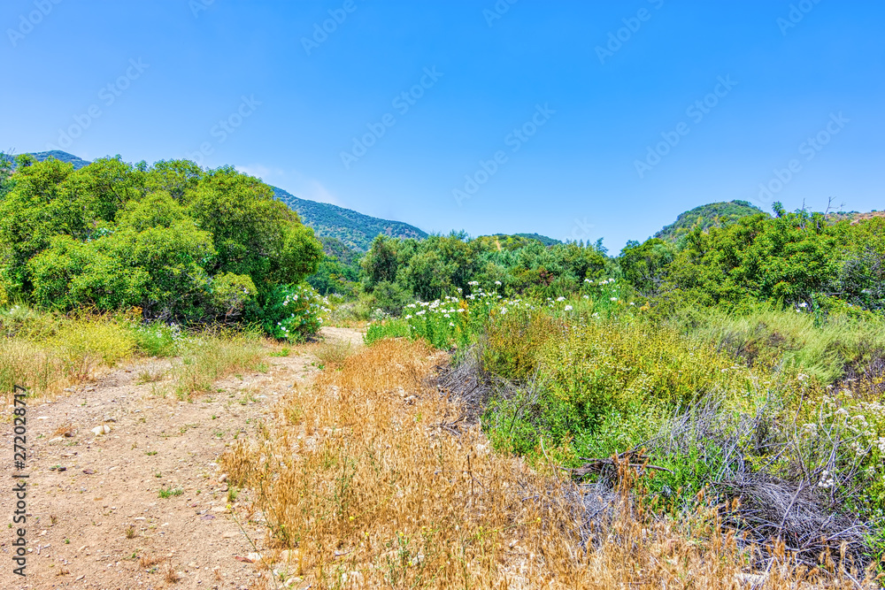 hiking path in summer mountains hiking path in summer mountains