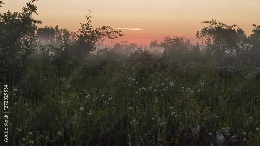 Timelapse of sunrise over a summer blossoming meadow. Timelapse of sunrise over a summer blossoming meadow.