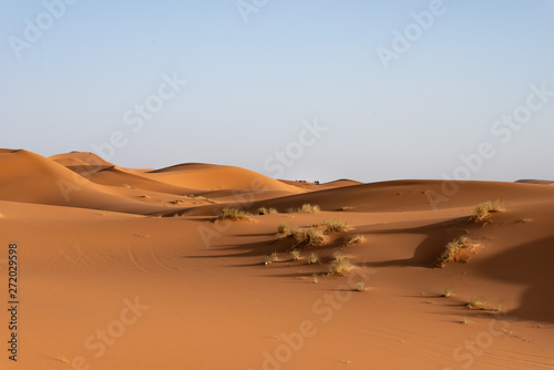 the dunes of erg Chebbi in Merzouga in Morocco