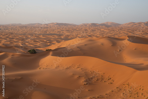 the dunes of erg Chebbi in Merzouga in Morocco © jusky16
