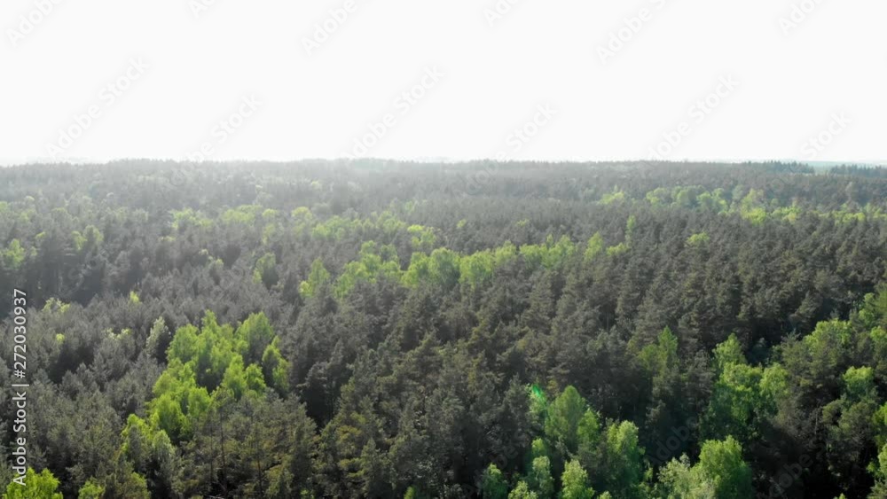 Aerial track shot of Boreal polish forest in Eastern Europe. Aerial track shot of Boreal polish forest in Eastern Europe.