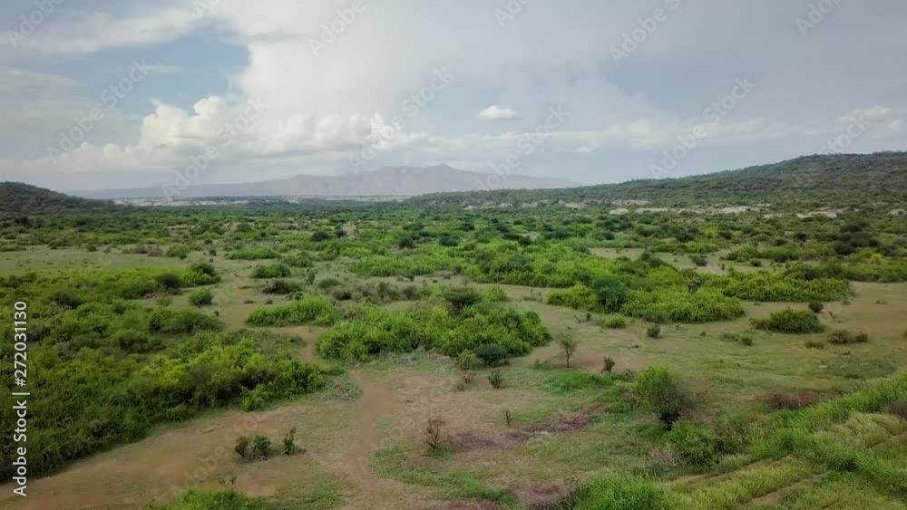 aerial 4k drone video of panning towards mountains over bush land and trees aerial 4k drone video of panning towards mountains over bush land and trees