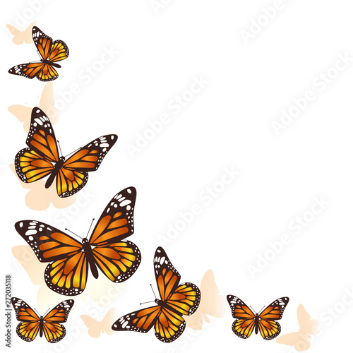 Beautiful butterfly flying in a circle background. Vector.
