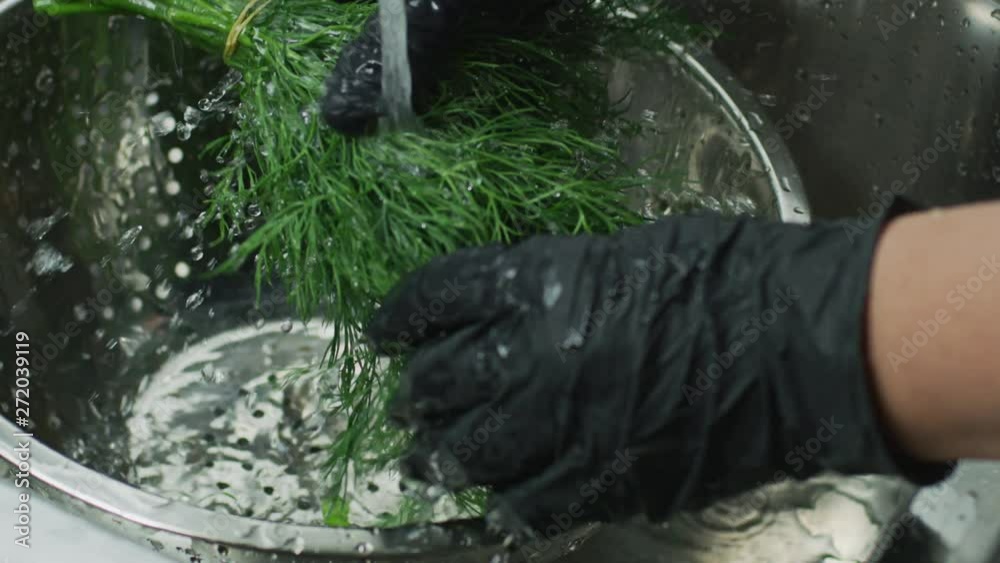 Washing dill in a sink Washing dill in a sink