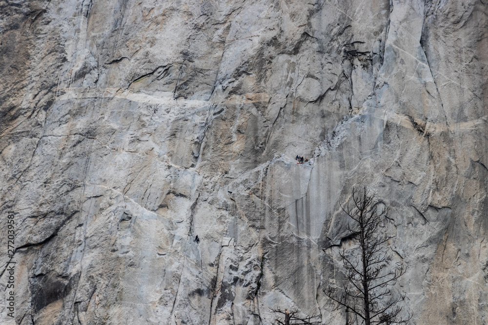 Granite Wall El Capitan