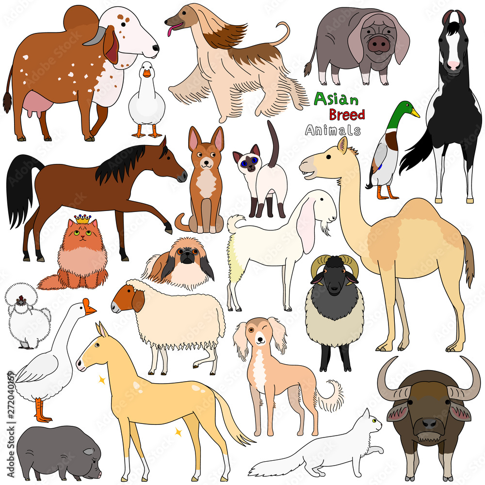 Fototapeta premium doodle of Asian breed domestic animals