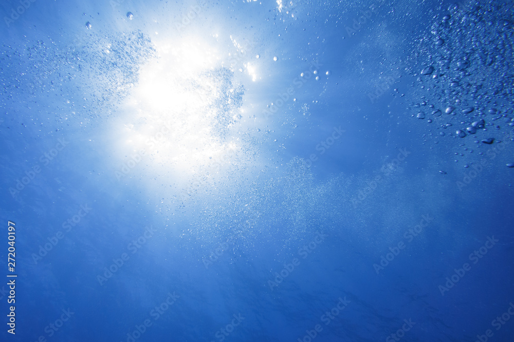 Obraz premium 水中の光