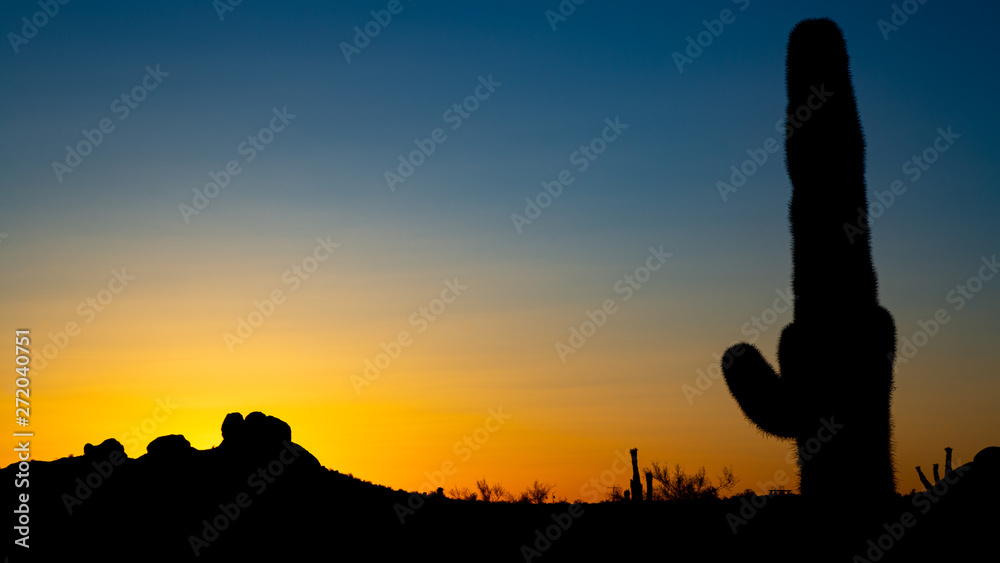 Sun setting in desert in beautiful arizona