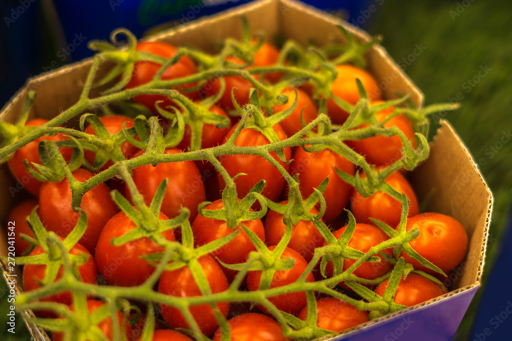 Close-up of cherry tomatoes