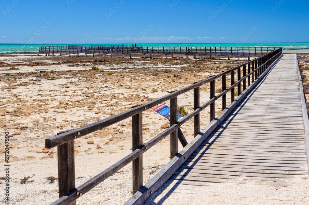Boardwalk at Hamelin Pool above marine stromatolites - Denham, WA, Australia