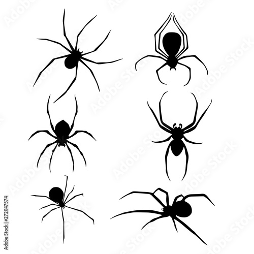 Set of Spiders collection. Spiders silhouette . Vector EPS 10.