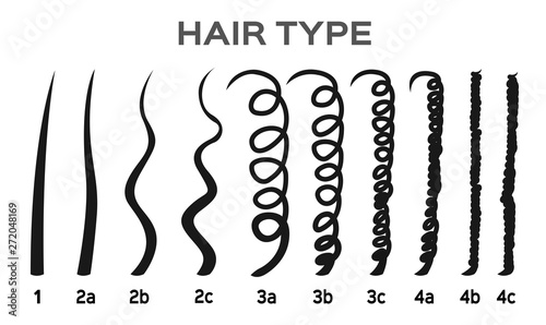 Hair Types cartoon / vector illustration photo