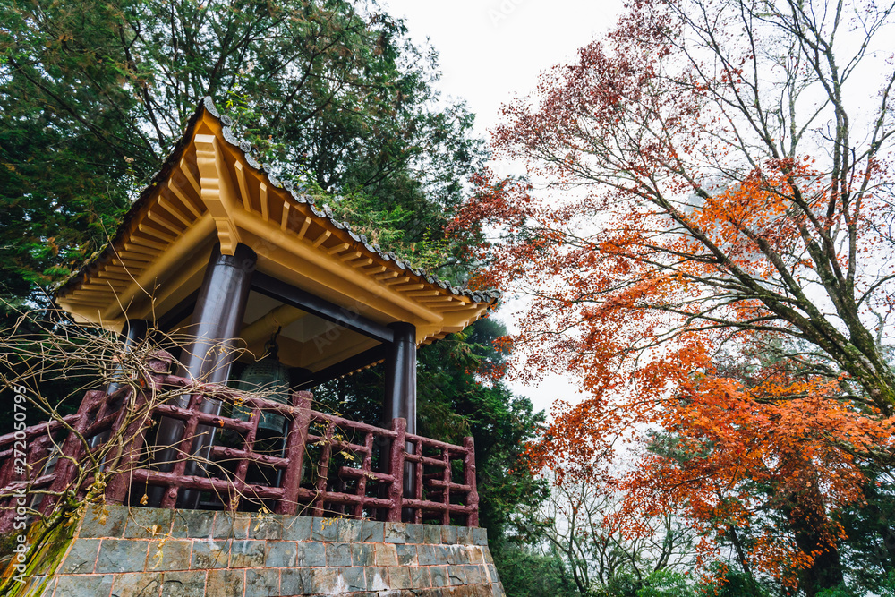 Chinese gazebo with trees and Maple trees in background in Alishan National Forest Recreation Area in Chiayi County, Alishan Township, Taiwan.