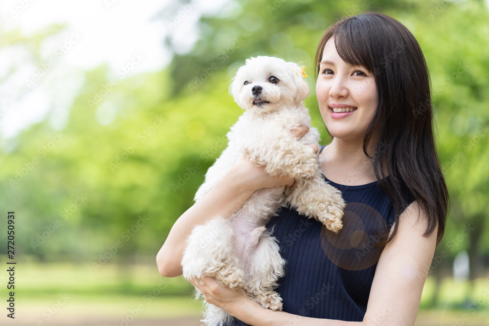 マルチーズ　ペット