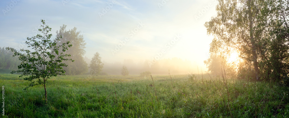 Foggy summer landscape with large forest lawn at sunrise Foggy summer landscape with large forest lawn at sunrise
