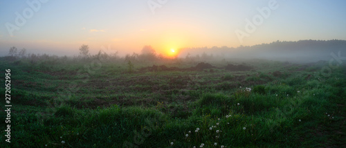 Foggy summer landscape with large forest lawn at sunrise