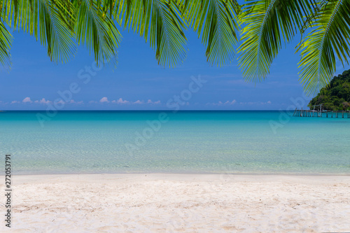 Tropical sea and blue sky on sunny day with palm leaf.