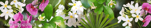 Beautiful white flowers at tropical resort on sunny day