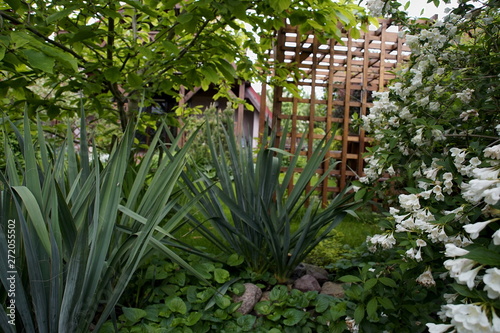 Ogród z jukami