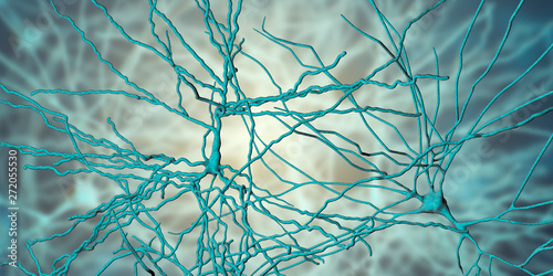 Pyramidal neurons, human brain cells, 3D illustration. Human nervous system photo