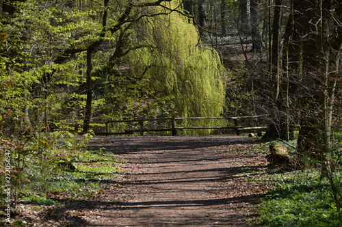 Fuldetal, Niedersachsen photo