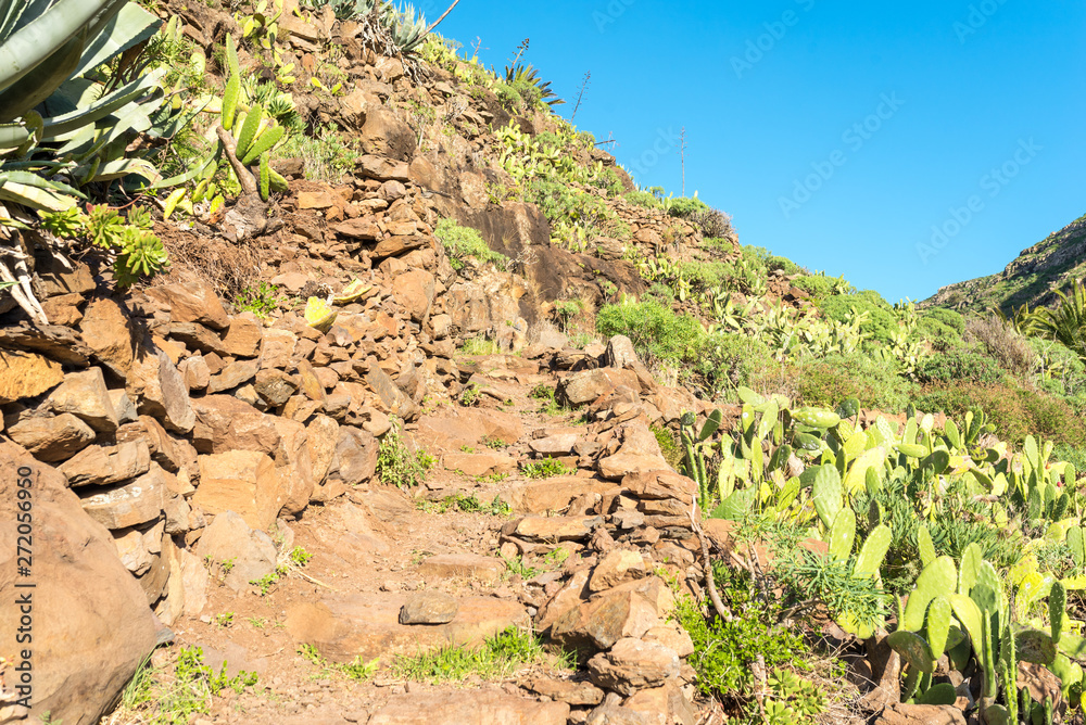 Fototapeta premium On the long distance trail from the village El Cercado down the Argaga ravine to the Valle Gran Rey on the canary island La Gomera