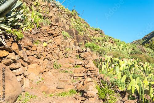 On the long distance trail from the village El Cercado down the Argaga ravine to the Valle Gran Rey on the canary island La Gomera