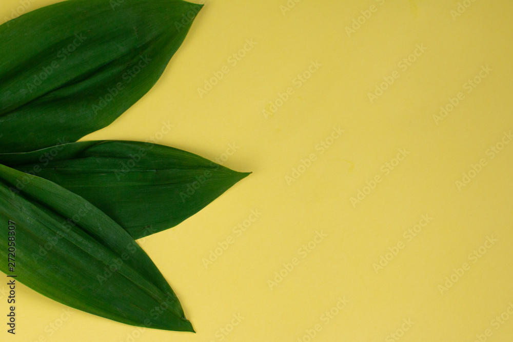 Fototapeta premium a bouquet of lilly of the valley isolated on yellow background, template for birthday or valentine's card
