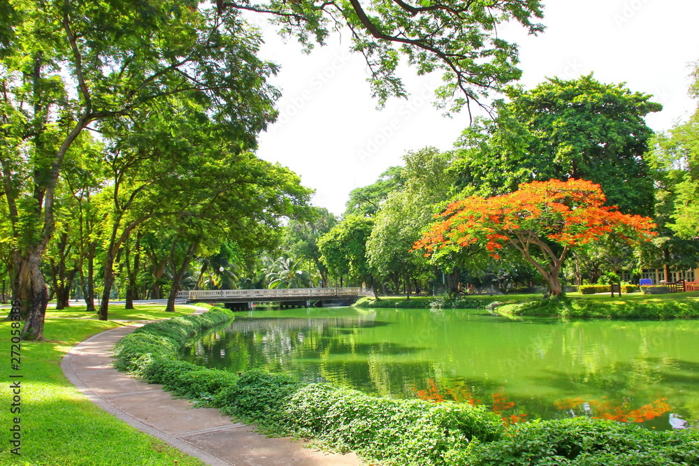 fresh air in park.green area create a good environment in the city for people to have outdoor activities. fresh air in park.green area create a good environment in the city for people to have outdoor activities.