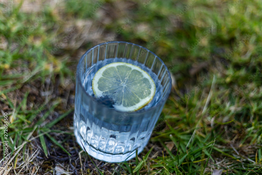 Gin and tonic on the grass