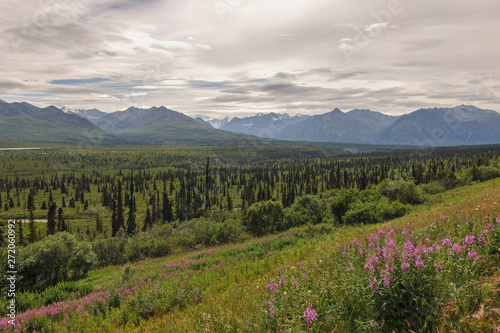Paysage d'Alaska © Sébastien DEFAUT