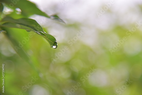 雨上がり