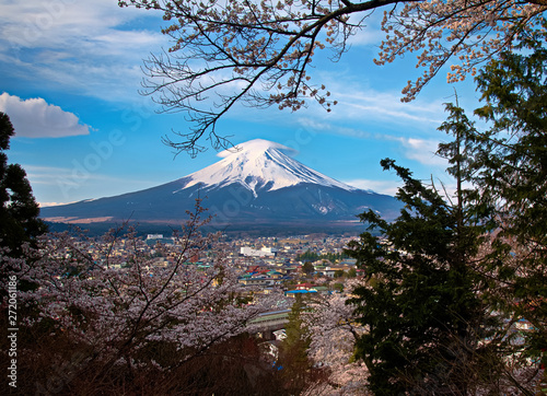 Monte Fujisam 2019  Sakura
