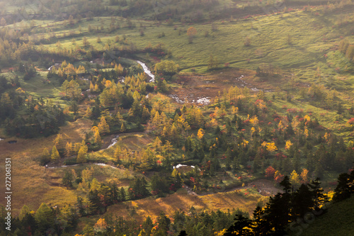 Wallpaper Mural 紅葉の芳ヶ平湿地群（志賀高原）／早朝／群馬県吾妻郡中之条町 Torontodigital.ca
