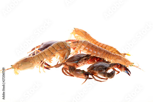 Mantis shrimp and  crabs