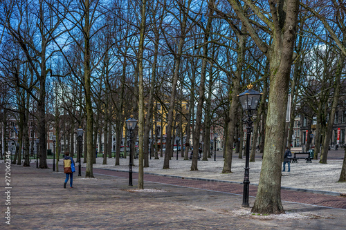 Den Haag, Netherlands, , BARE TREES IN PARK