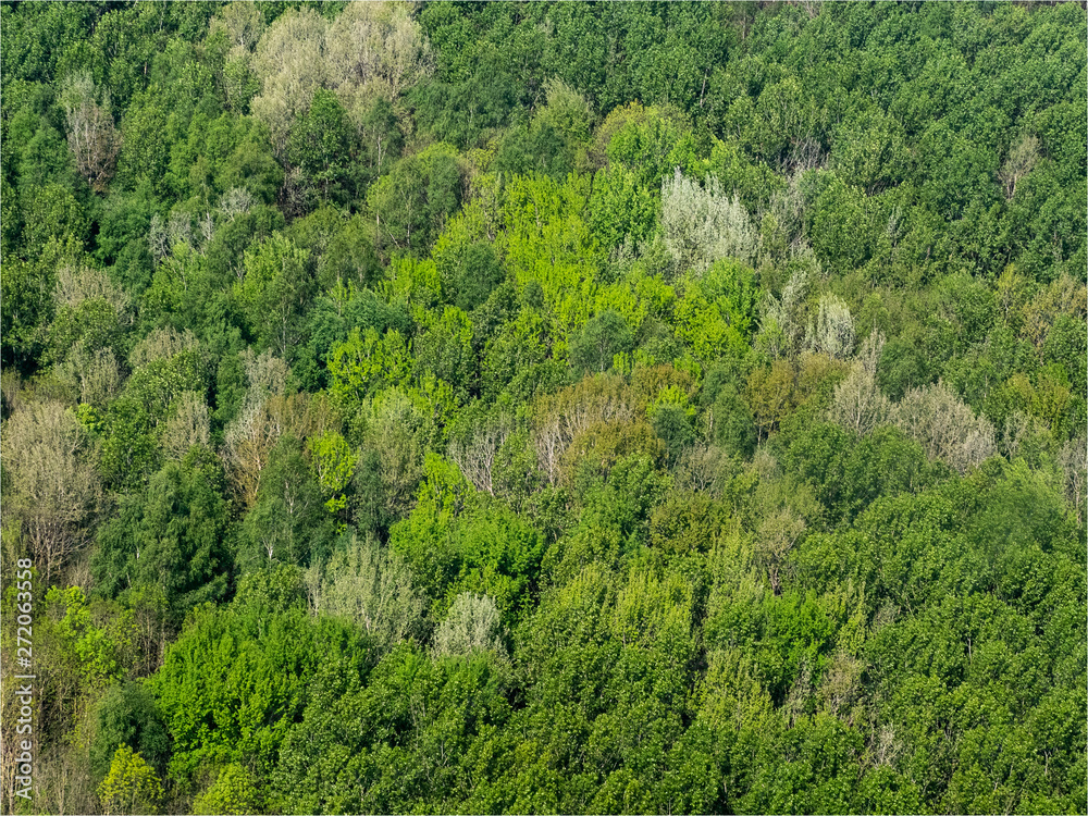 vue aérienne de forêt à Frémanville dans le Val d'Oise en France