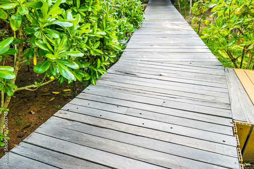 Beautiful wooden path walk in the garden