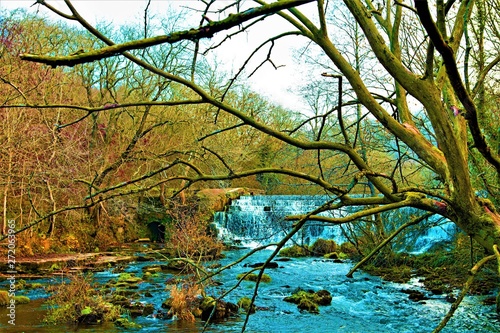 Winter wilderness along the River Wye  in Monsal Dale  Derbyshire