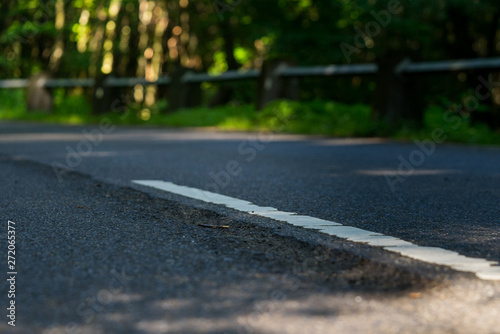 Fahrbahnmarkierung auf einer Straße im Wald