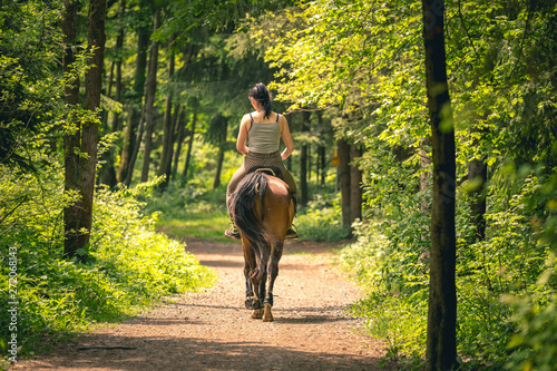 Young rider woman on bay horse in the autumn park at sunset. Teenage girl riding horse in park, shot form behind. photo