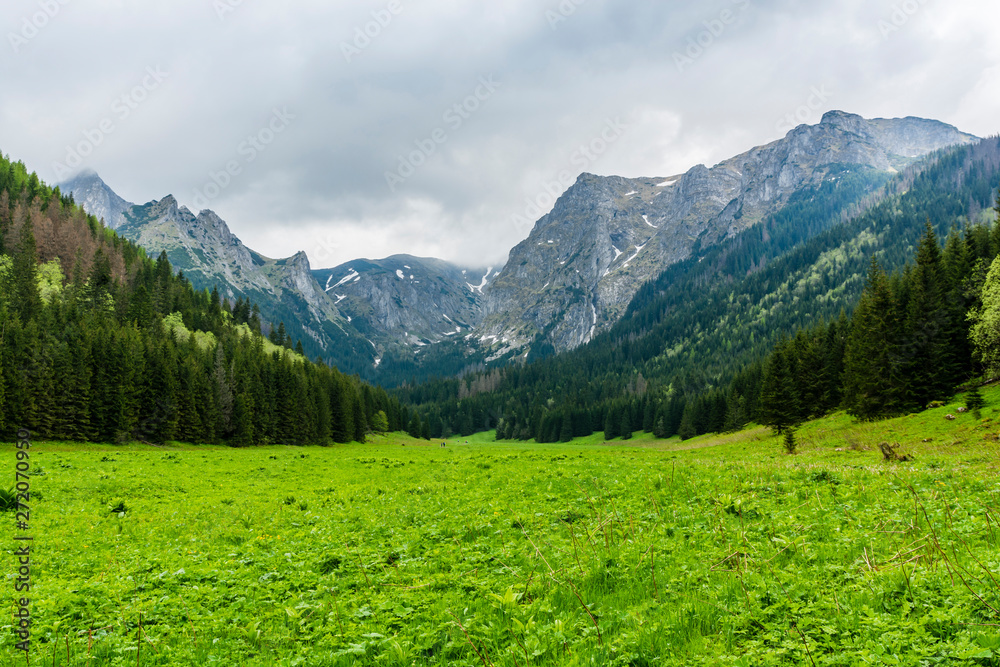 Tatras in Poland. The Malej Laki Valley and the surrounding mountains on a cloudy day.